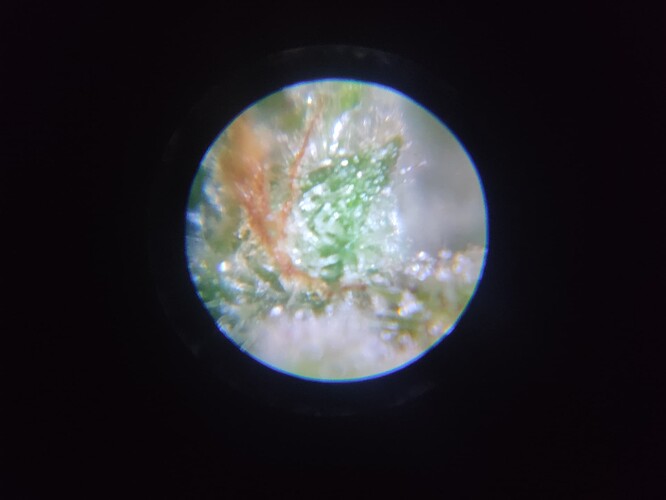 Growreport Bild 12