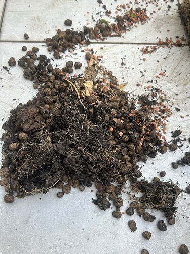 Growreport Bild 55