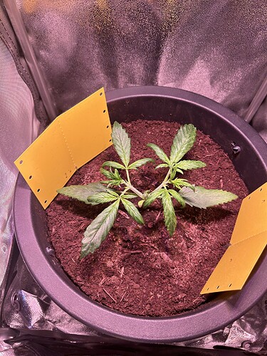 Growreport Bild 4