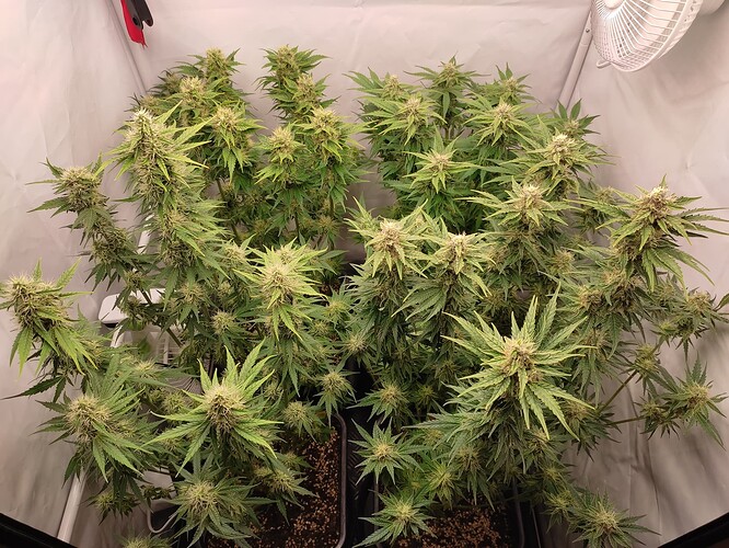 Growreport Bild 18