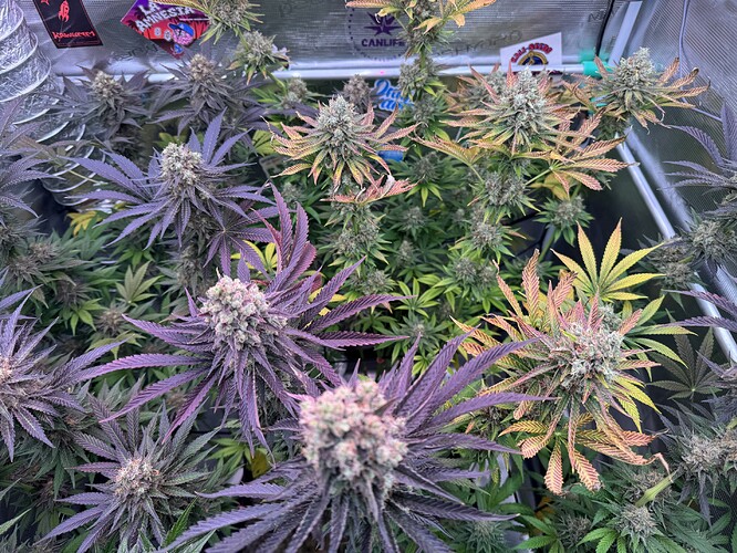 Growreport Bild 10