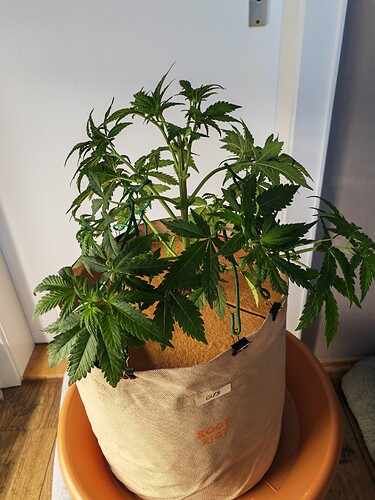 Growreport Bild 18