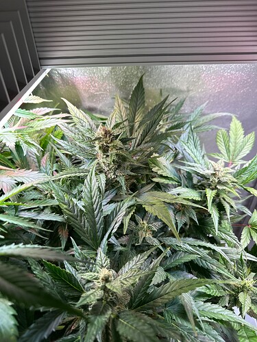 Growreport Bild 14