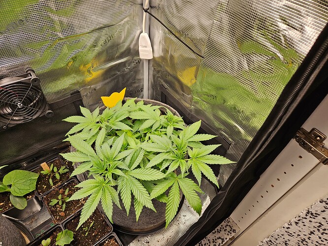 Growreport Bild 3