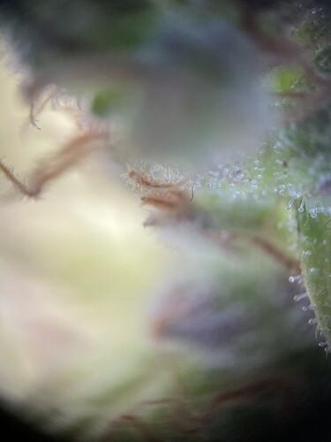 Growreport Bild 16