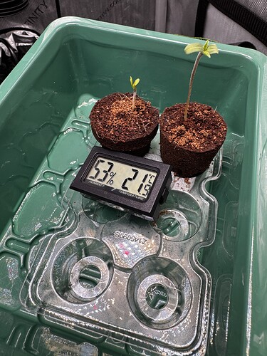 Growreport Bild 4