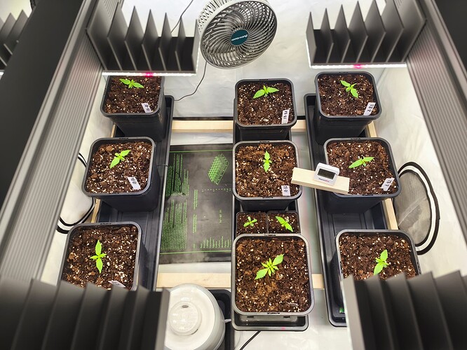 Growreport Bild 17