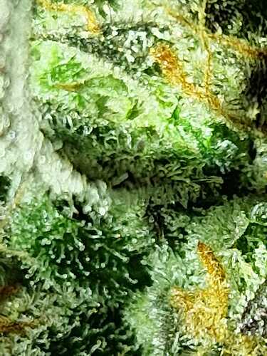 WhatsApp Image 2024-06-26 at 21.58.08 (4)