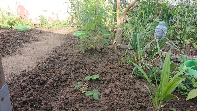 Growreport Bild 2