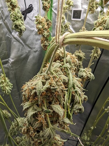 PXL_20240608_195729093