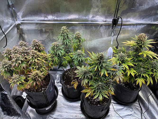 Growreport Bild 10