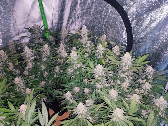 Growreport Bild 22
