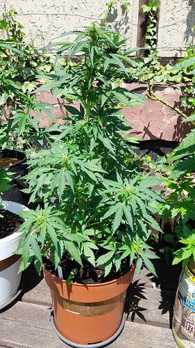 Growreport Bild 18