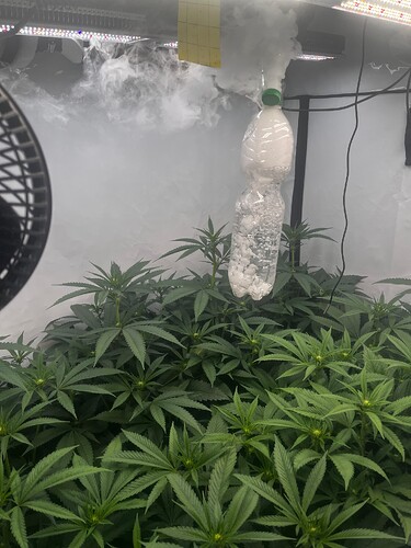 Growreport Bild 3