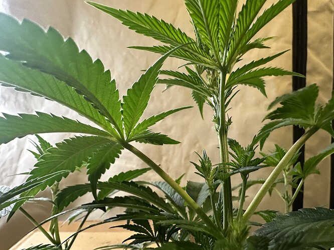Growreport Bild 14