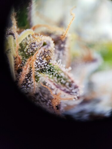 Growreport Bild 12