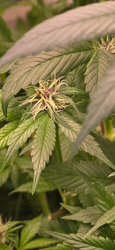 Growreport Bild 7