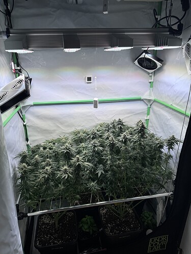 Growreport Bild 10