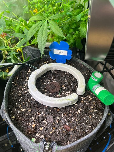 Growreport Bild 25