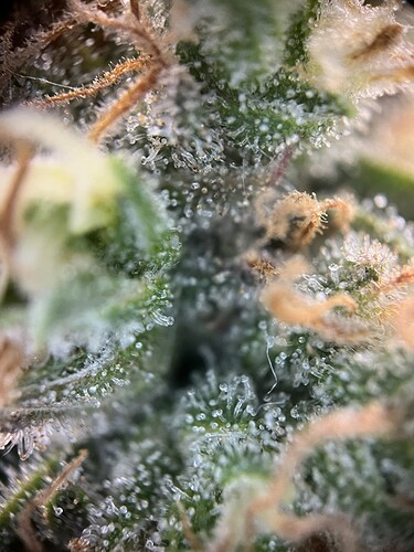 Growreport Bild 23