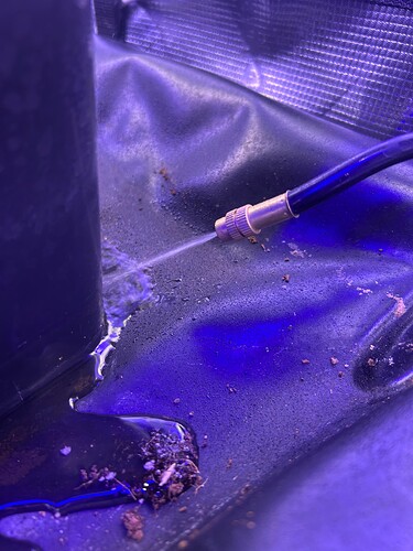 Growreport Bild 31