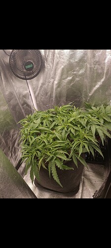Growreport Bild 14