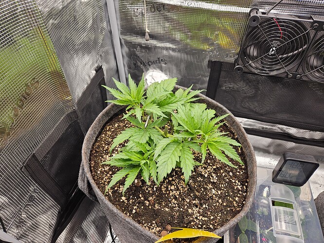 Growreport Bild 4