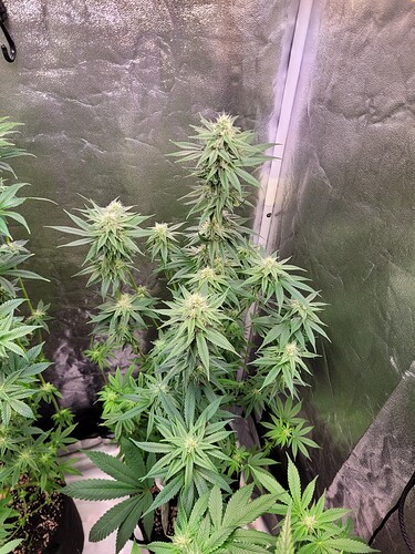 Growreport Bild 18