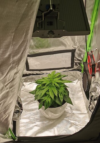 Growreport Bild 2