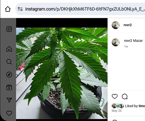 Screenshot_20250607-114442_Chrome