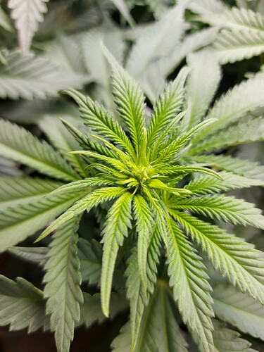 Growreport Bild 9