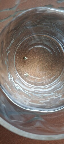 Growreport Bild 56