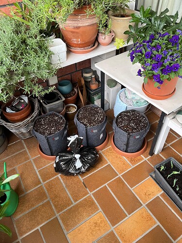 So viel Erde ist über