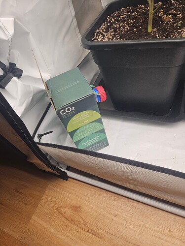Growreport Bild 6