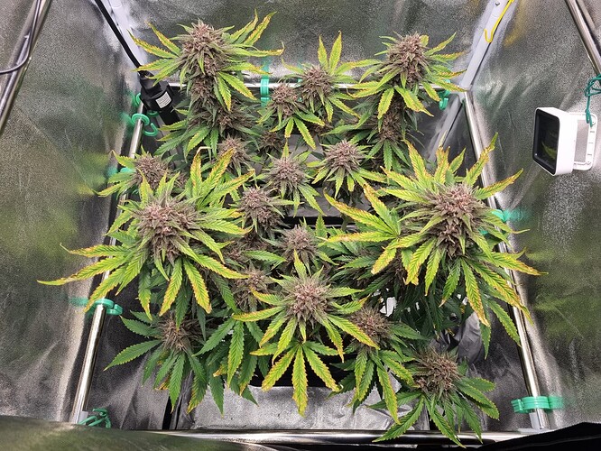 Growreport Bild 8