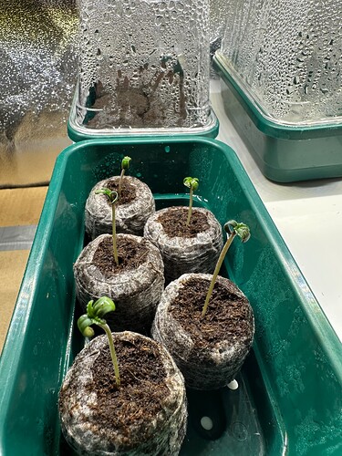 Growreport Bild 15