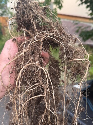 Growreport Bild 15