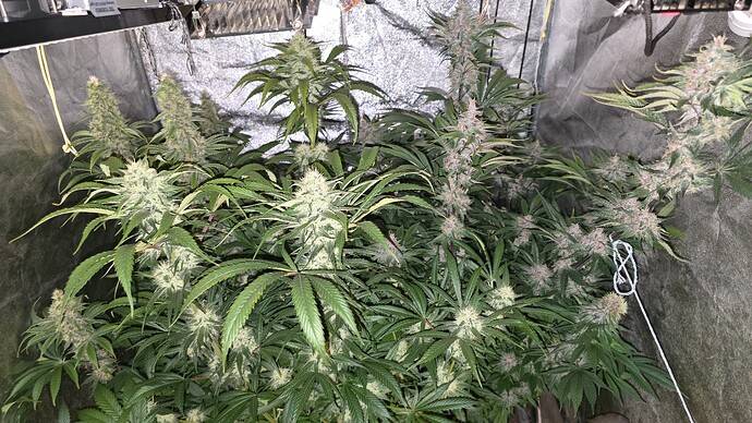 Growreport Bild 14