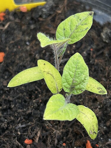 Growreport Bild 14