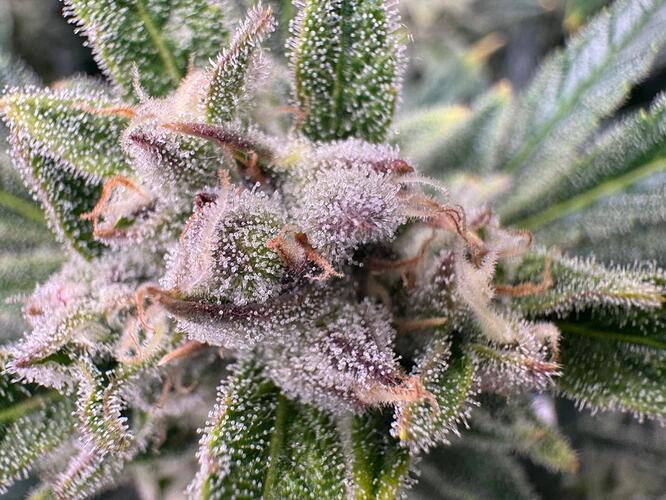 WhatsApp Bild 2025-02-16 um 13.13.36_11ce6d56