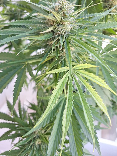 Growreport Bild 14