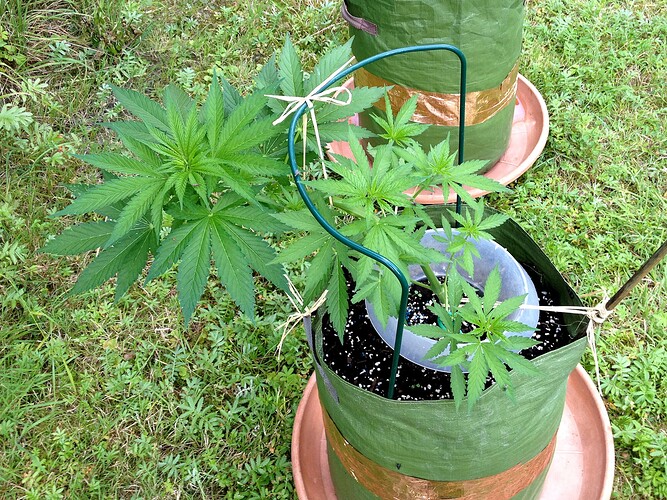 Growreport Bild 16