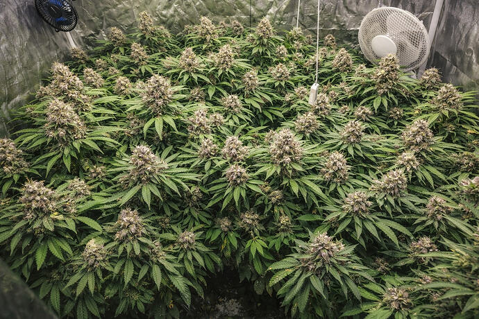 file_0000000045d0720a87092d91c40bd187