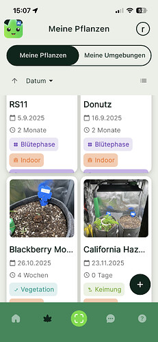 Growreport Bild 3
