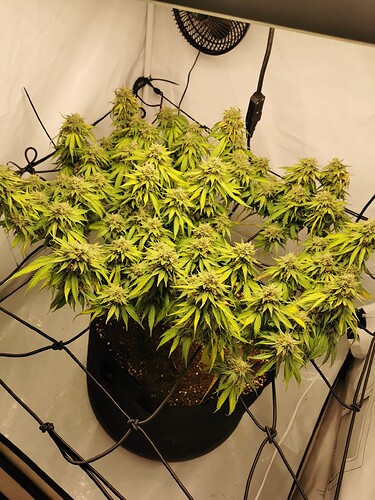 Growreport Bild 13