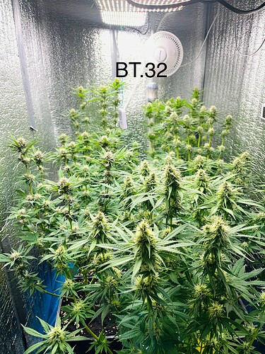 Growreport Bild 4