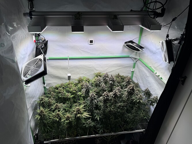 Growreport Bild 24