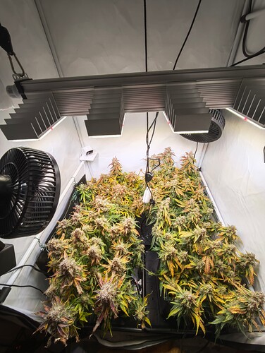 MVIMG_20251130_230047