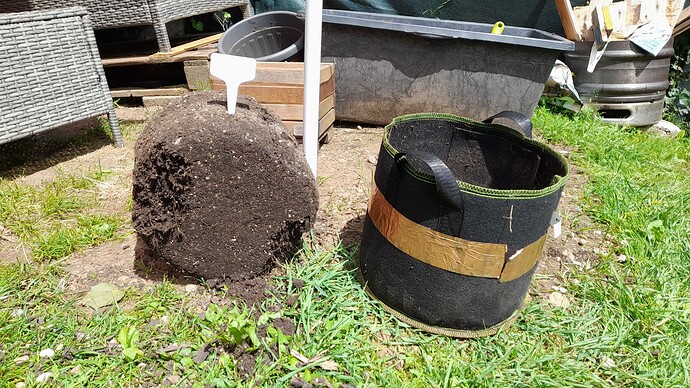 Growreport Bild 3