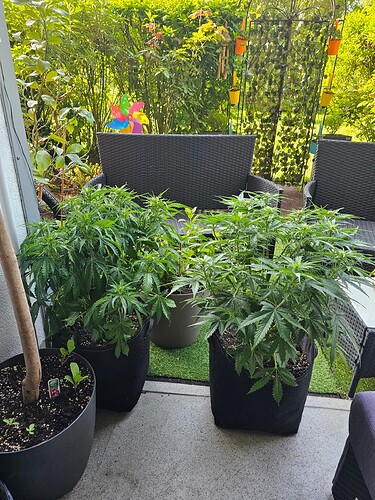 Growreport Bild 12